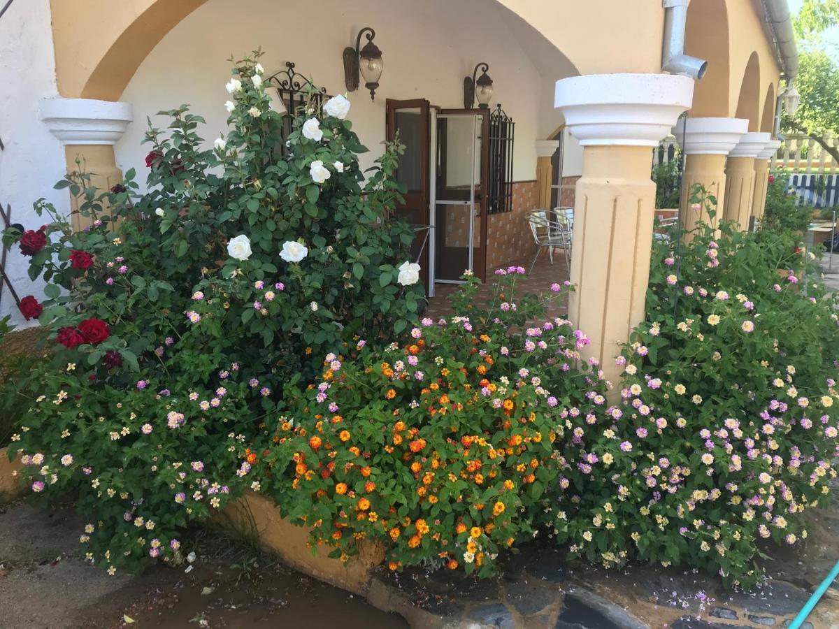 Finca La Rosalia Setenil De Las Bodegas Zewnętrze zdjęcie